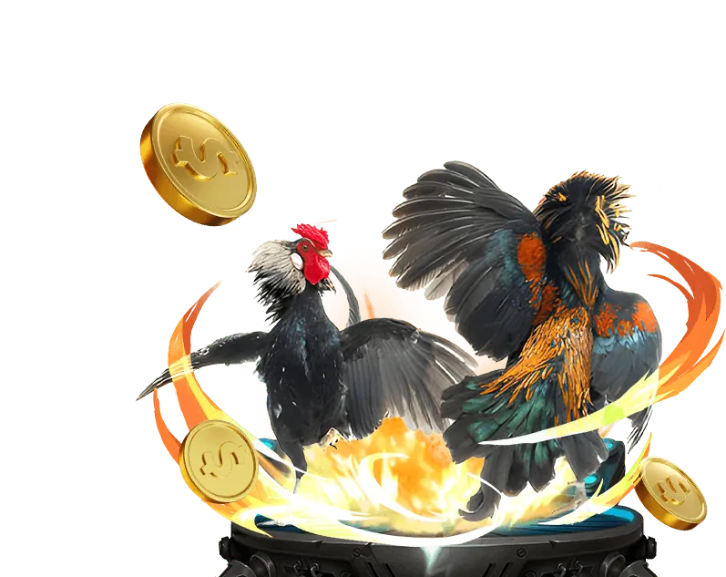 Hình ảnh đại diện cho các điều khoản khuyến mãi trên ga179 trang chủ